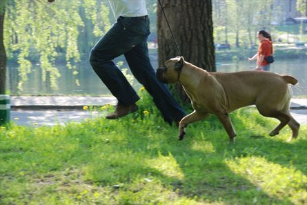 1330297066