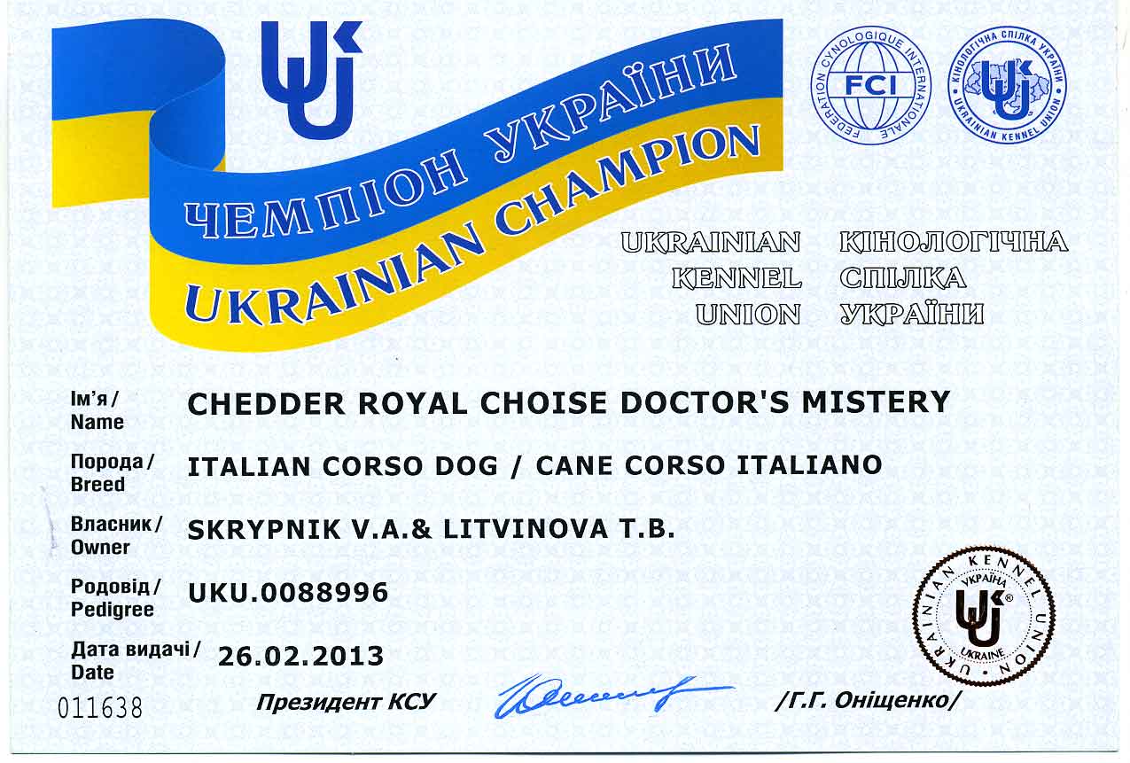 Chedder-Royal-Choise-DM-CHUA