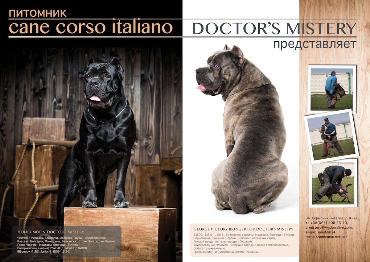 HONEY-MOON-DOCTORS-MISTERY-020