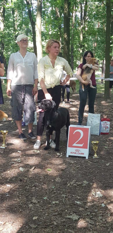 24