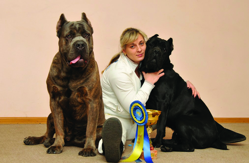 kane karso-7