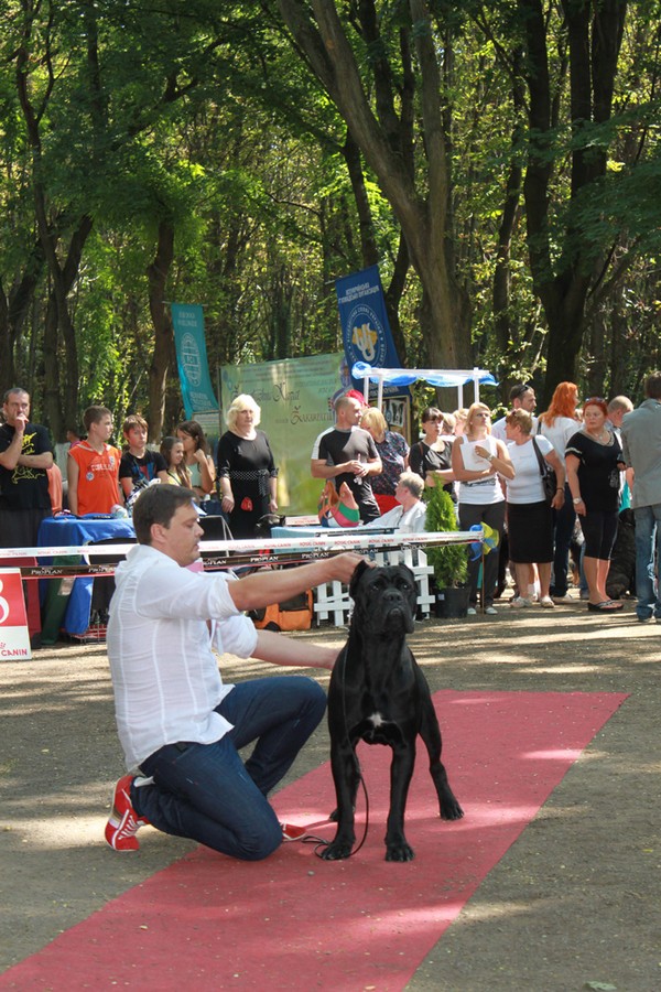 ujgorod-2012-001
