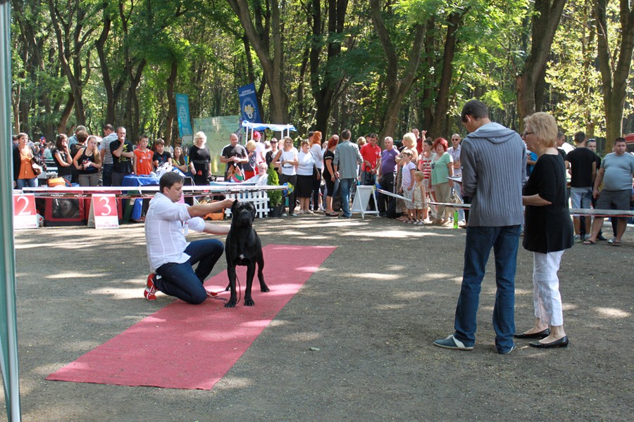 ujgorod-2012-002