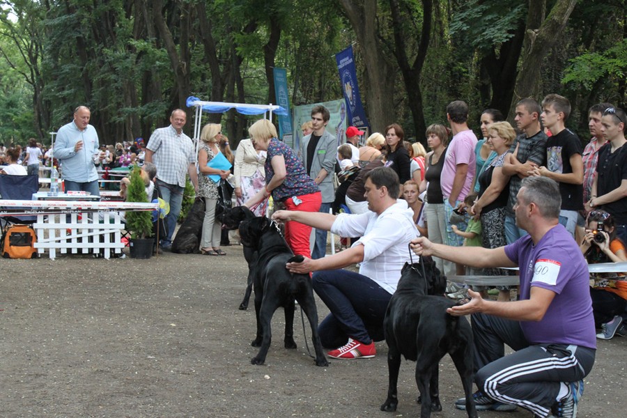 ujgorod-2012-005