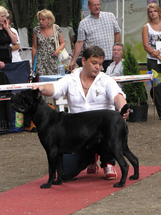 ujgorod-2012-012