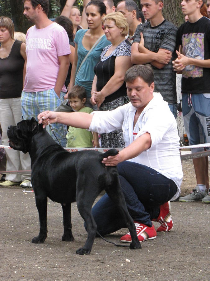 ujgorod-2012-013