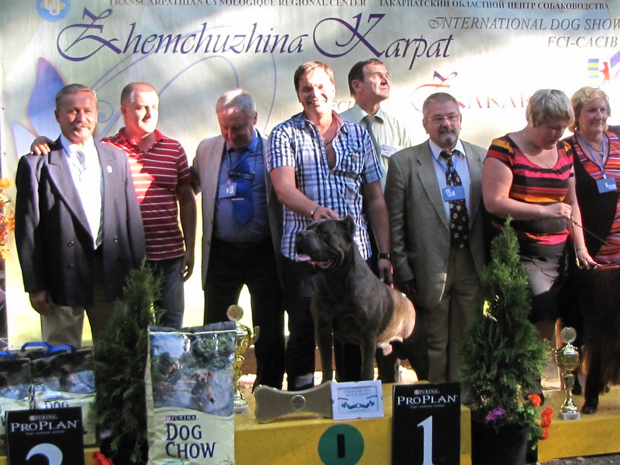 ujgorod-2012-020