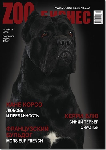 Папа